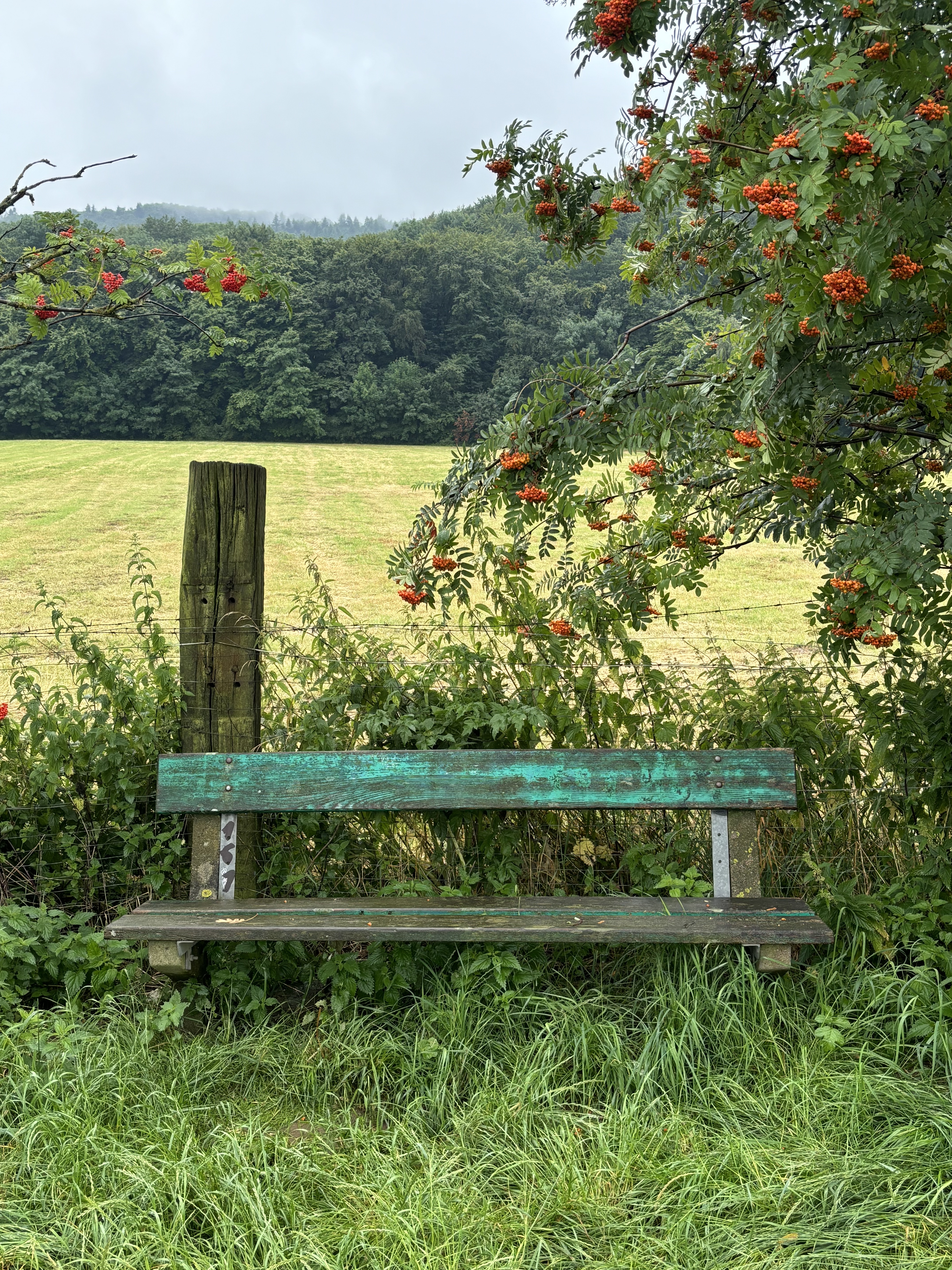 Bank in der Natur — Achtsamkeit und Entspannung Mühlenkreis