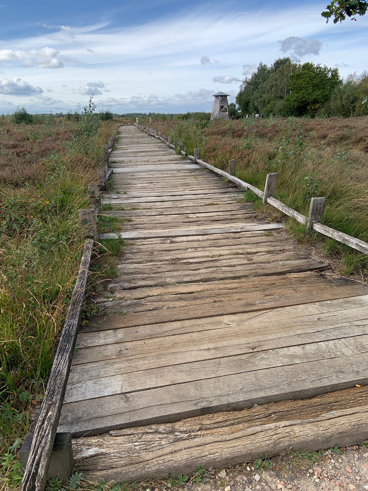 Bohlenweg im Bastau-Moor Minden-Lübbecke — Achtsamkeitsspaziergang mit Susanne Röber