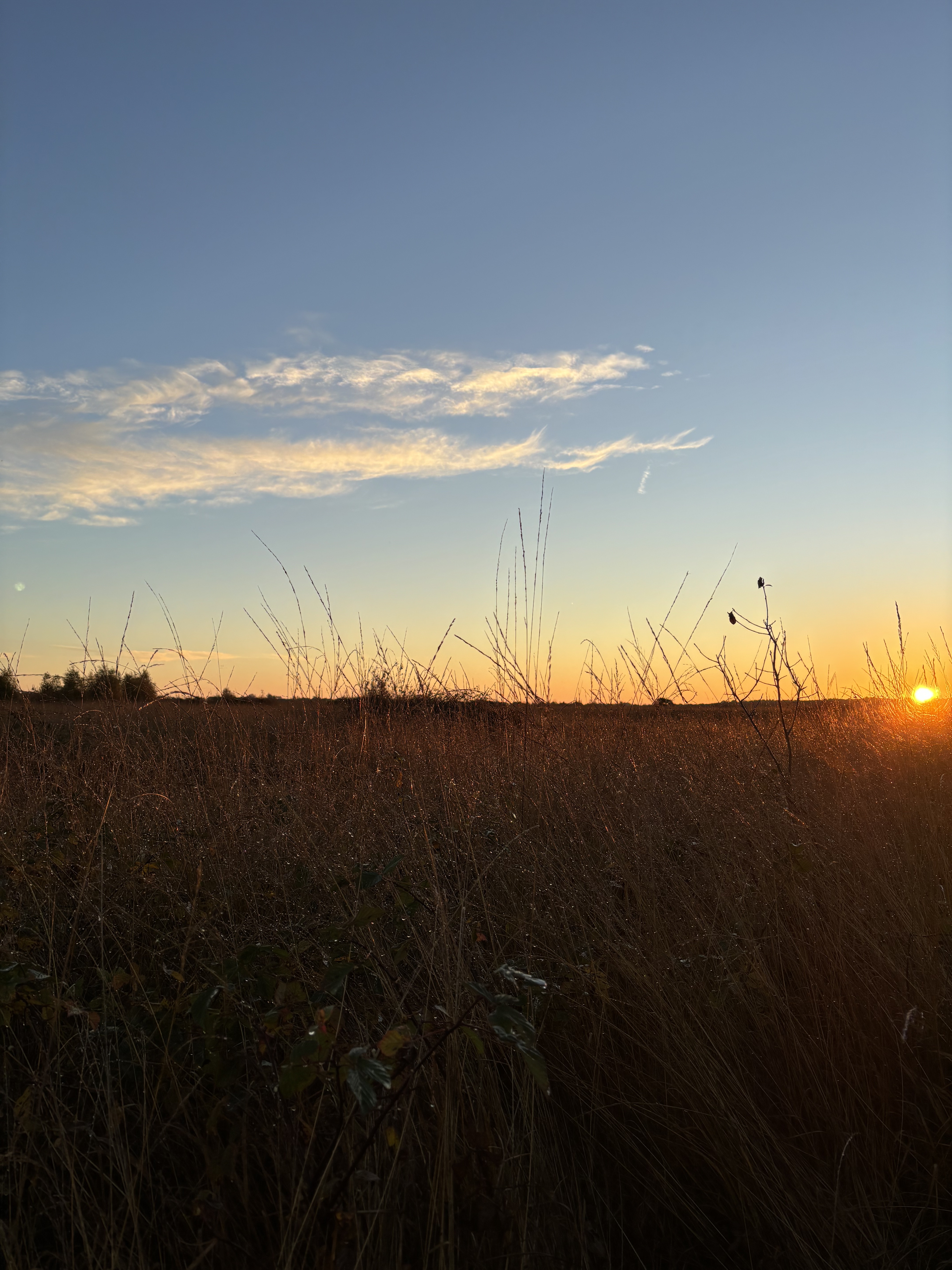 Sonnenuntergang im Moor Mühlenkreis — Achtsamkeit in der Natur